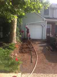 Installing root barrier to prevent damage to driveway from Sycamore tree.